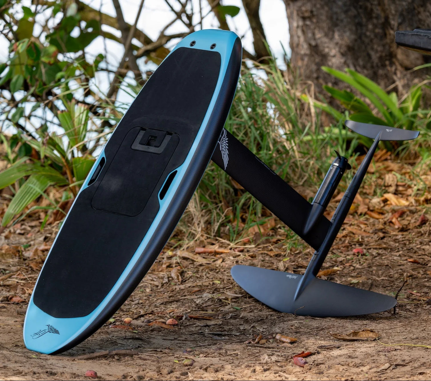 4'8" LIFTX EFOIL